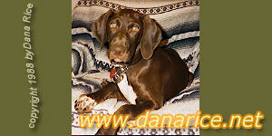 Maya as a Puppy in 1988