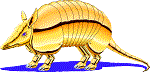 armadillo