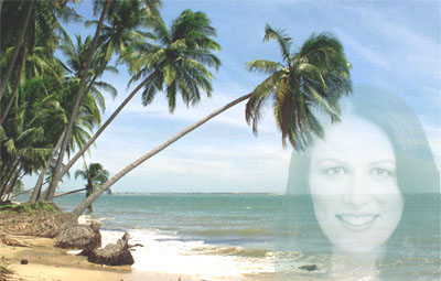 Time for a vacation, eh?- Image by Susan Rothschild and Son Nguyen