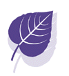 Laurie Marum, Licensed Acupuncturist